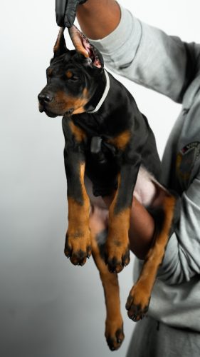 PHOTO-2025-05-20-15-54-07