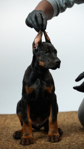 PHOTO-2025-05-20-15-54-09