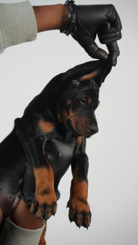 PHOTO-2025-05-20-15-54-10 2