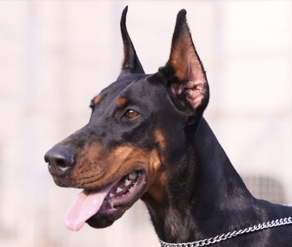 PHOTO-2025-05-20-15-54-11 4