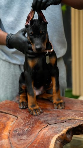 PHOTO-2025-05-20-15-57-23 5