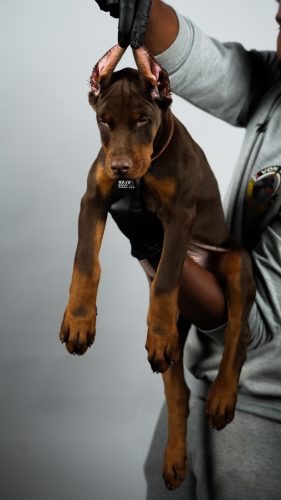 PHOTO-2025-05-20-15-57-24