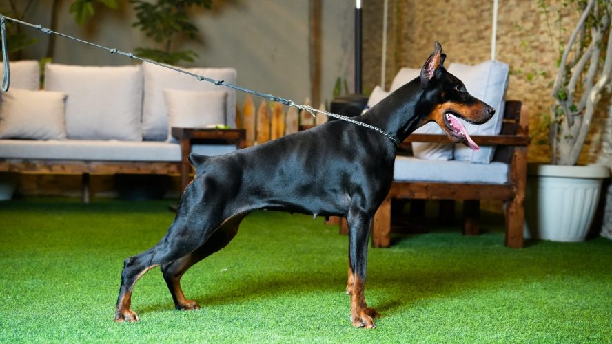 PHOTO-2025-05-20-16-16-44