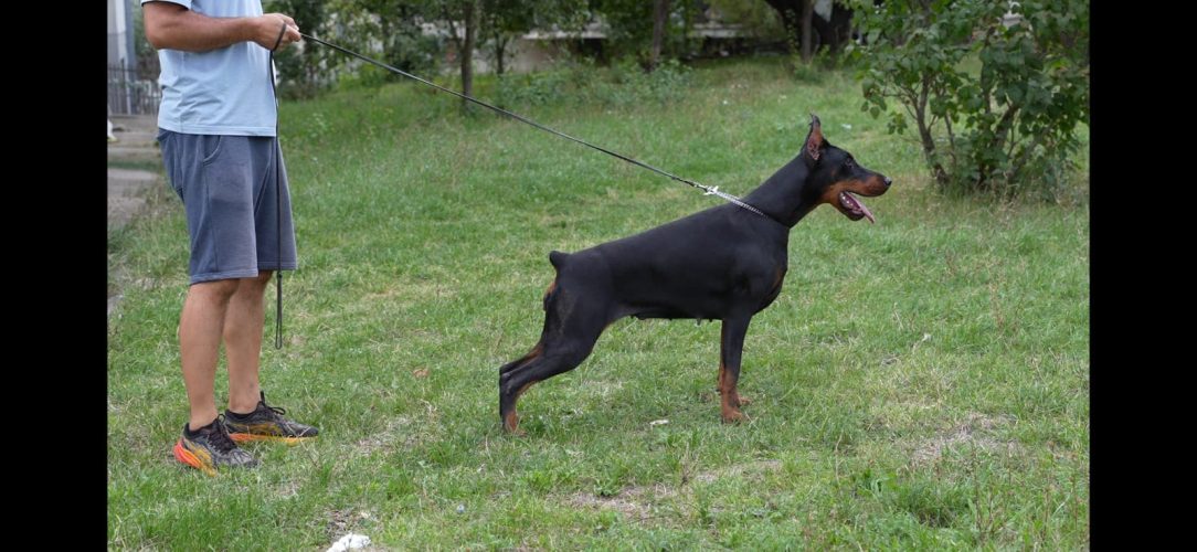 PHOTO-2025-05-20-16-16-45 2