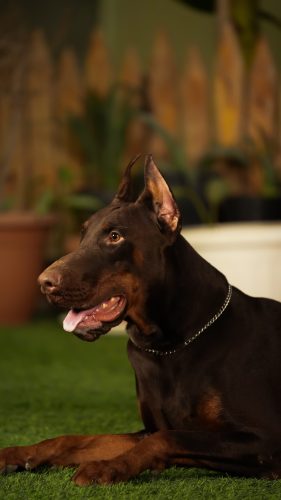 PHOTO-2025-05-20-16-43-21