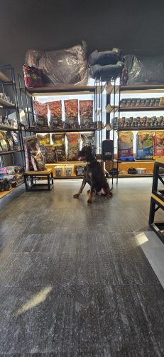 PHOTO-2025-05-20-16-43-23